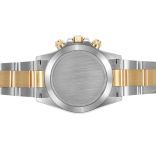 Pre-Owned Rolex 116503 Price