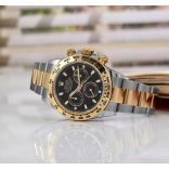 Rolex 116503