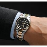 Rolex Watches