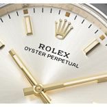 Oyster Perpetual 126000-SLVIND-2