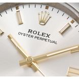 Oyster Perpetual 126000-SLVIND