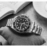 Rolex 116660