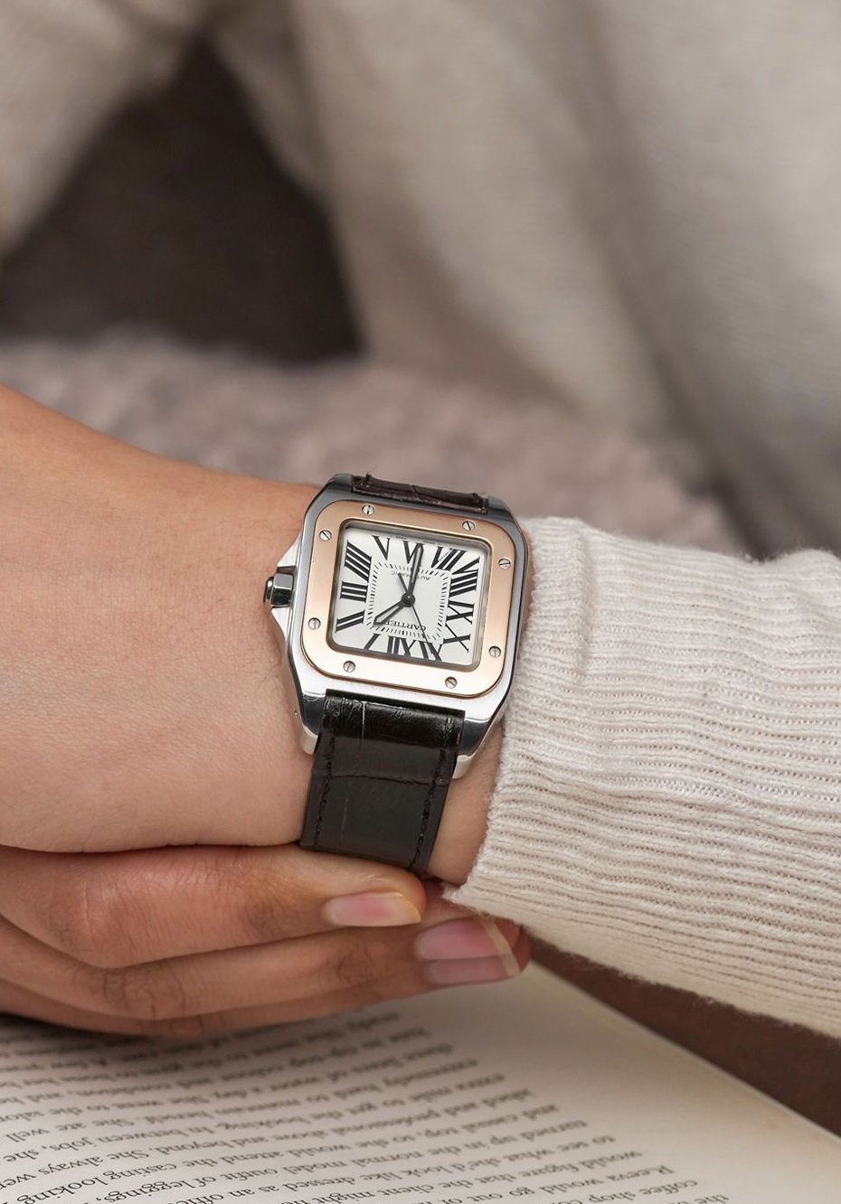 Cartier Santos Demoiselle