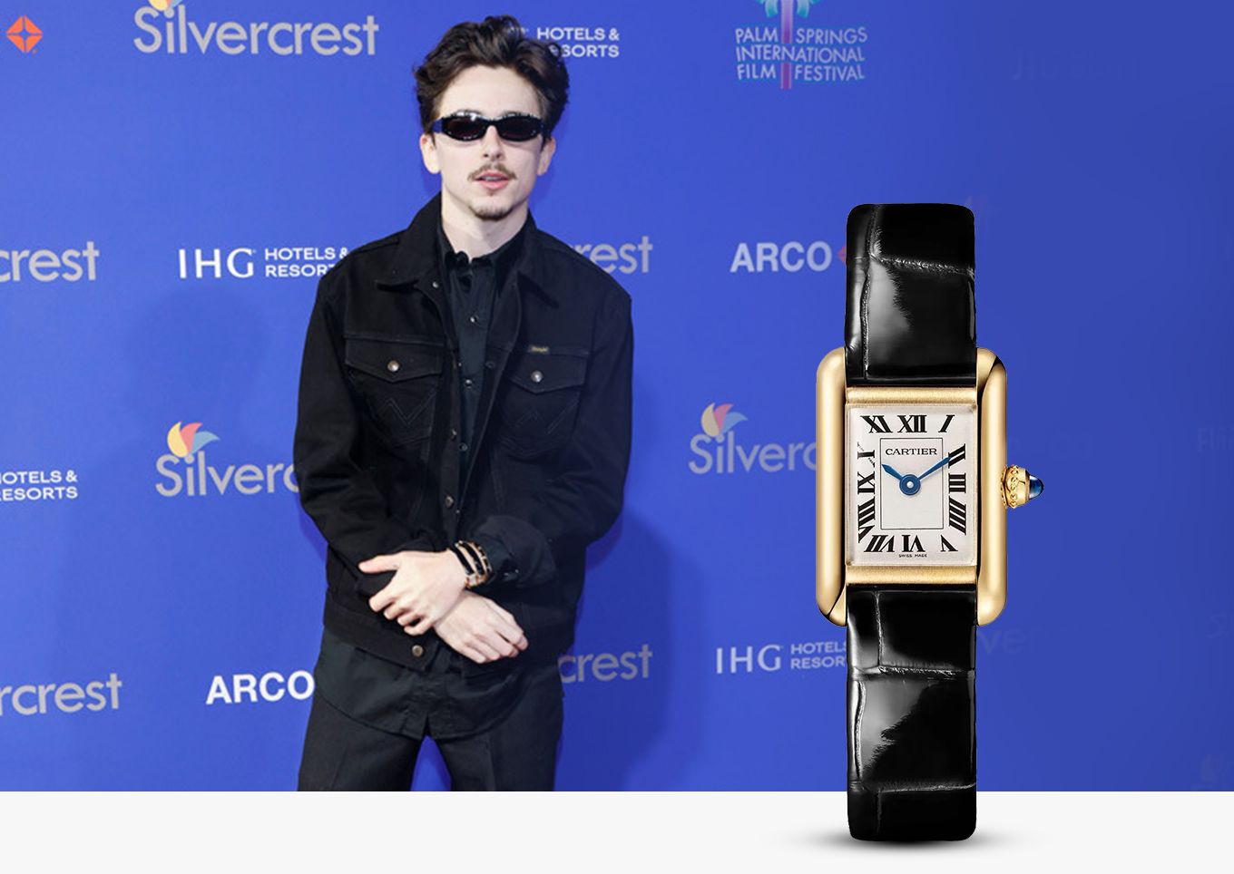 Timothée Chalamet in Cartier