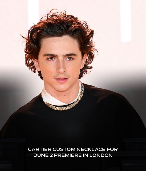 Timothée Chalamet in Cartier