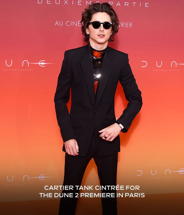 Timothée Chalamet in Cartier